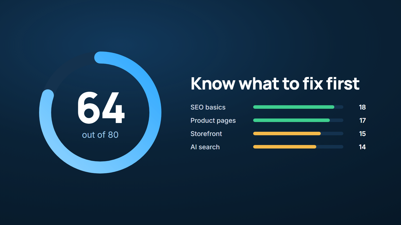 Store Audit score ring showing 64 out of 80, with scores for SEO basics, product pages, storefront and AI search